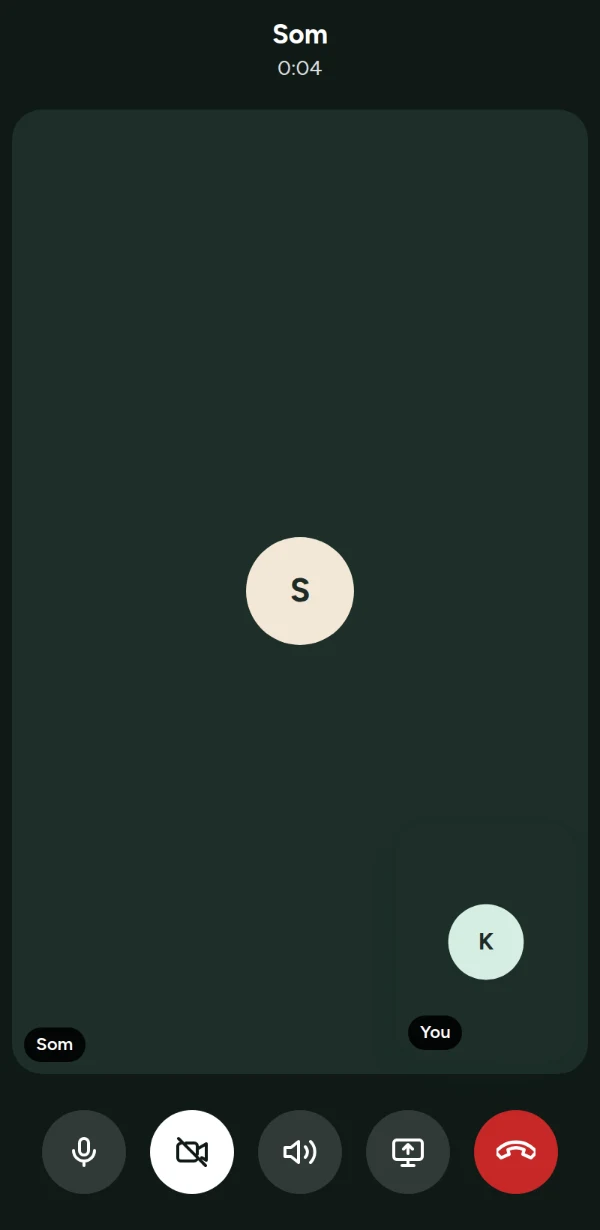 A voice call in LohnCC with microphone, camera, sound, screen sharing and hang-up buttons